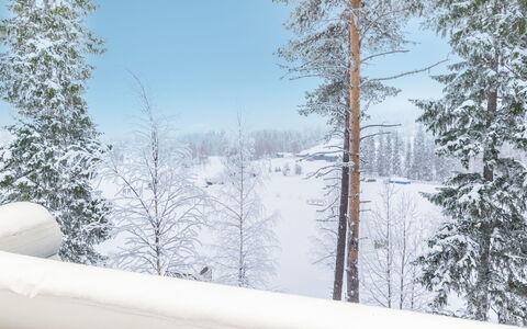 Karhunpesä a: Furniture, Chair, Outdoor Furniture, Table, Wood, Outdoor Table, Kitchen & Dining Room Table, Shade, Garden, Umbrella