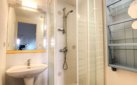 Saint Cyprien 770: Bathroom, Property, Room, Tile, Shower, Wall, Interior Design, Plumbing Fixture, Architecture, Tap