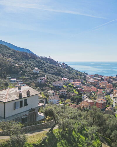 Sorvegallo