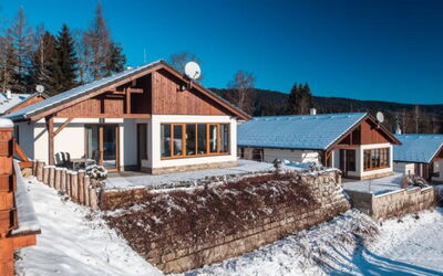 Accommodation:&nbsp;Residence Lipno 87.4