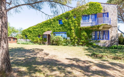 Les Figuiers: Plant, Property, Sky, Window, Tree, Natural Landscape, Land Lot, Shade, Building, Grass