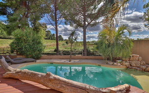 La Pinède: Water, Plant, Sky, Cloud, Property, Nature, Botany, Swimming Pool, Tree, Grass