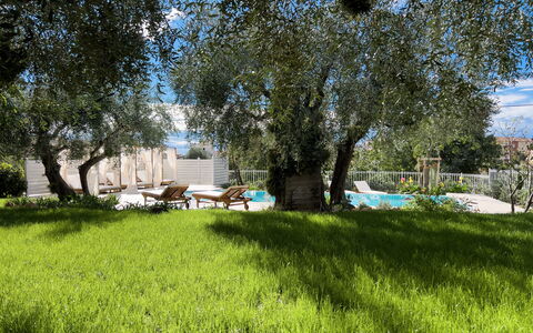 Villa Mimosa - Diano Marina: Plant, Plant Community, Tree, Natural Landscape, Shade, Land Lot, Cloud, Grass, Grassland, Leisure