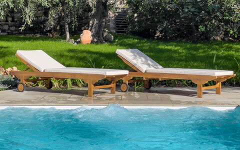 Villa Mimosa - Diano Marina: Water, Furniture, Plant, Outdoor Furniture, Swimming Pool, Shade, Tree, Sunlounger, Leisure, Landscape