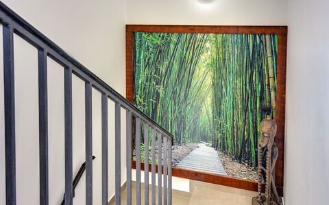 Noemi: Property, Paint, Wood, Interior Design, Plant, Stairs, Art, Building, Line, Floor