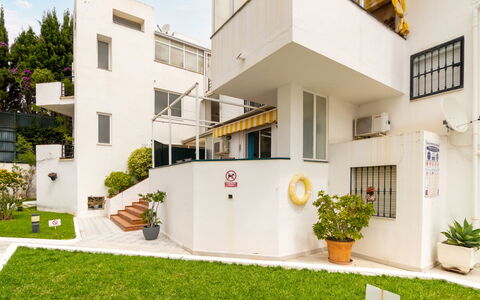 Oasis: Plant, Building, Property, Flowerpot, Window, Houseplant, Interior Design, Land Lot, Yellow, Urban Design