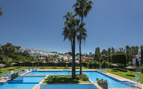 Las Ranas: Water, Sky, Plant, Blue, Swimming Pool, Tree, Shade, Arecales, Urban Design, Condominium