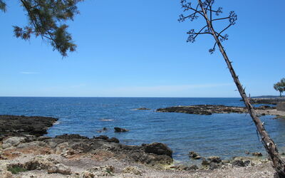Apartment Cala Bona