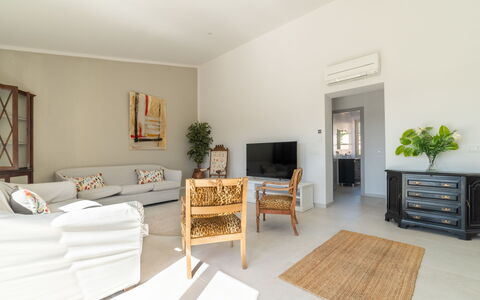 Can Rochet: Furniture, Plant, Houseplant, Comfort, Wood, Picture Frame, Flowerpot, Living Room, Interior Design, Flooring