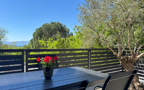 Accommodation:&nbsp;Oliva 313.3