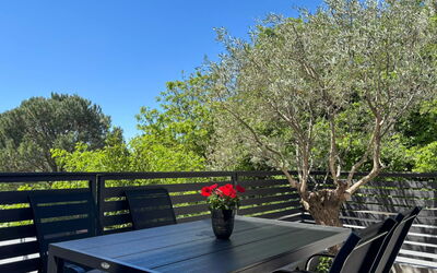 Accommodation:&nbsp;Oliva 313.3