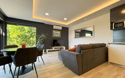 Accommodation:&nbsp;Oliva 313.3