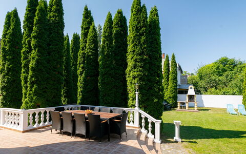 Big Thuja