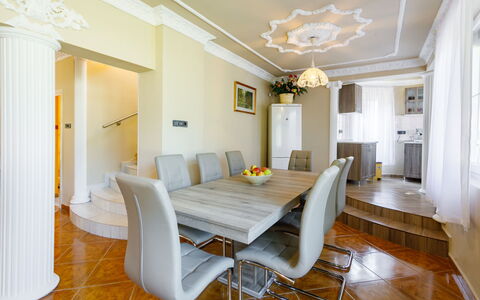 Big Thuja: Property, Furniture, Table, Chair, Picture Frame, Building, Wood, Interior Design, Floor, Hall