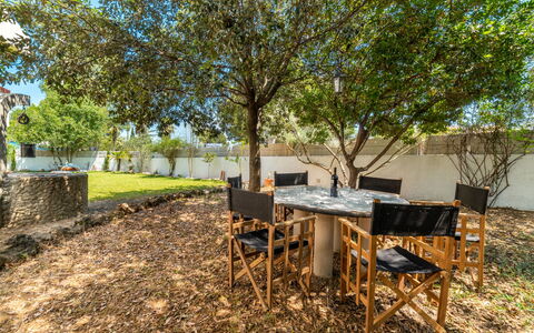 Can Jeroni: Table, Property, Furniture, Plant Community, Plant, Shade, Tree, Branch, Natural Landscape, Land Lot