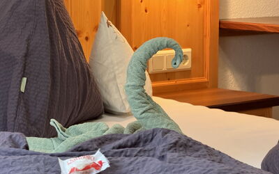 Accommodation:&nbsp;Sesselebenerhof 645.2