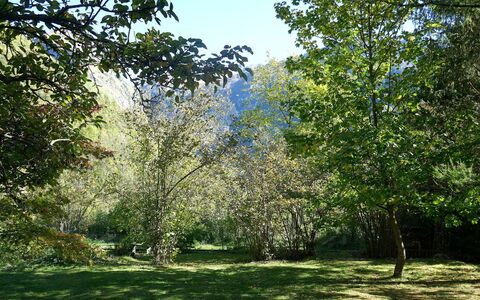 Chalet al Portic: Branch, Green, Leaf, Tree, Natural Environment, Nature, Vegetation, Shrub, Plant Community, Garden