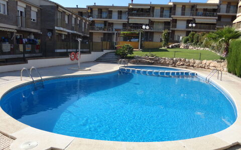 Mora Igor: Water, Property, Building, Swimming Pool, Sky, Window, Plant, Azure, Body Of Water