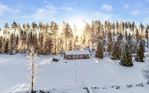 Eerola: Snow, Tree, Winter, Branch, House, Cottage, Home, Landscape, Freezing, Larch