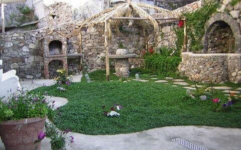 La Dea della Stella Polare: Plant, Property, Botany, Building, Vegetation, Grass, Flower, Biome, Leisure, Landscape