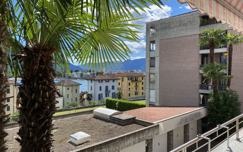 Rex App. 3: Daytime, Property, Plant, Building, Tree, Window, Urban Design, Vegetation, Neighbourhood, Condominium