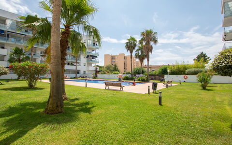Puerto Marina: Sky, Cloud, Plant, Building, Tree, Arecales, Land Lot, Grass, Shade, Urban Design