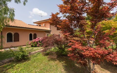Villa Trabbia: Sky, Cloud, Food, Plant, Tableware, Table, Window, Mountain, Fruit, Wood