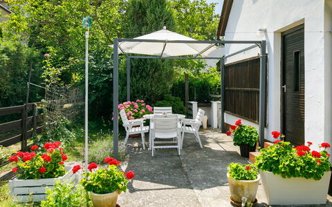 Suzy: Flower, Plant, Property, Flowerpot, Building, Houseplant, Shade, Chair, Tree, Outdoor Furniture