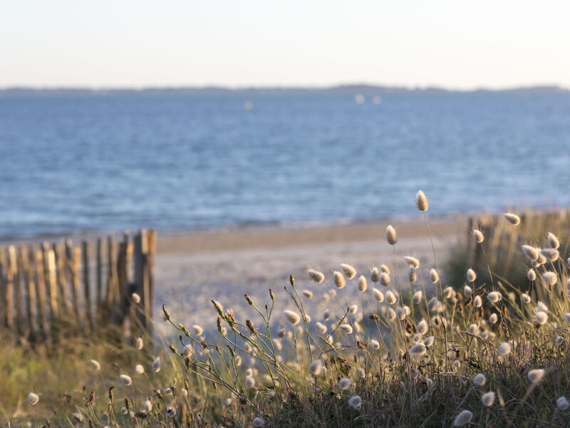 Le Rivage