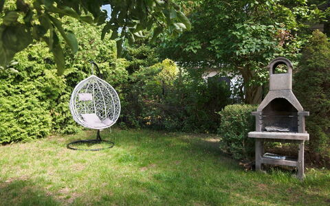 Koszalin 300: Plant, Plant Community, Natural Landscape, Tree, Land Lot, Shade, Sunlight, Grass, Outdoor Furniture, Woody Plant