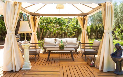 Rincón del sur: Plant, Furniture, Property, Shade, Outdoor Furniture, Sky, Chair, Interior Design, Tree, Wood