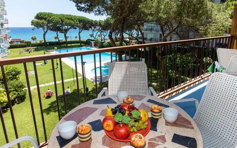 Palmeras: Plant, Food, Table, Water, Furniture, Sky, Building, Chair, Tableware, Flowerpot