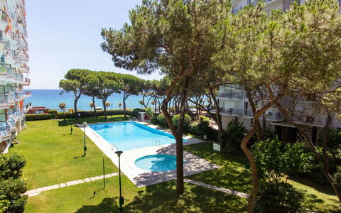 Palmeras: Water, Plant, Building, Sky, Swimming Pool, Shade, Window, Tree, Condominium, Grass