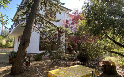 Sonia: Sky, Plant, Building, Property, Window, Tree, Flower, Shade, Land Lot, Vegetation