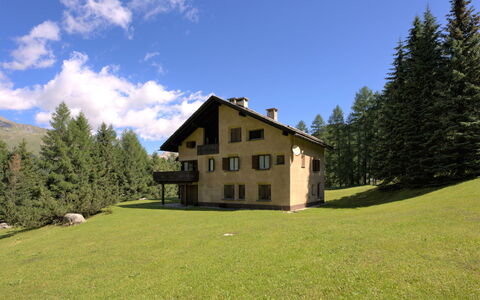Chesa Seglias 6: Sky, Cloud, Plant, Property, Building, Tree, Natural Landscape, Window, Land Lot, Larch