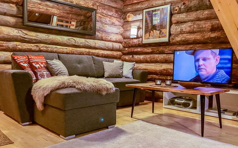 Salmikankaan Kelo D2: Furniture, Flooring, Wood, Electronic Device, Couch, Interior Design, Living Room, Floor, Wood Flooring, Television