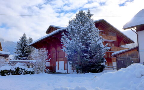 Saanen 100: Cloud, Sky, Snow, Building, Plant, Window, Tree, House, Branch, Larch