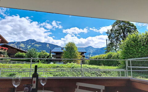 Saanen 100: Apartment, Condominium, Estate, Balcony, Villa, Hotel