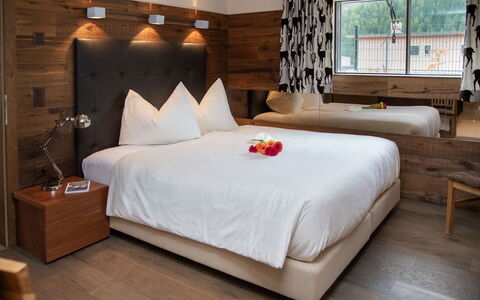 Chesa Piz Mezdi - St. Moritz: Wood, Interior Design, Furniture, Lighting, Ceiling, Bedroom, Bed, Room, Throw Pillow, Apartment