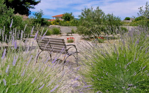 Butko: Cloud, Plant, Flower, Sky, Plant Community, Tree, Natural Landscape, Natural Environment, Building, Land Lot
