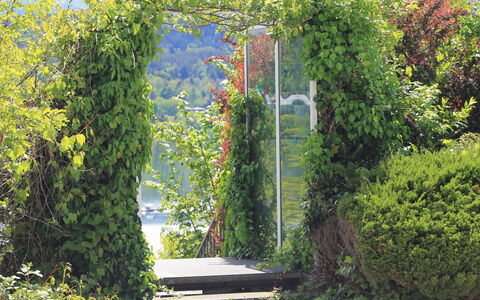 Vinzek: Plant, Property, Plant Community, Natural Landscape, Shade, Grass, Shrub, Hedge, Groundcover, Landscape