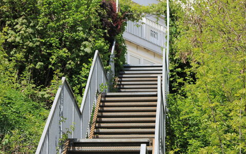 Vinzek: Building, Stairs, Plant, Tree, House, Slope, Grass, Wood, Shrub, Facade
