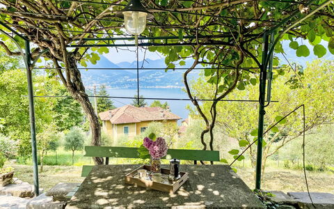 Giò: Plant, Building, Shade, Biome, Window, Landscape, Rural Area, Tree, Tints And Shades, Natural Landscape