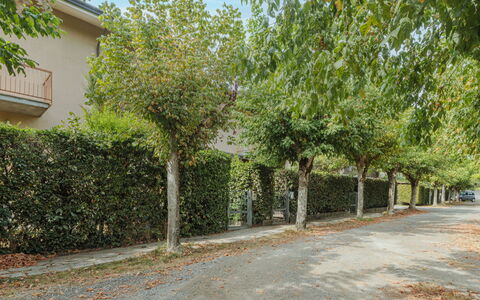 La Rocchetta: Plant, Window, Sky, Road Surface, Building, Land Lot, Shade, Grass, Tree, Hedge
