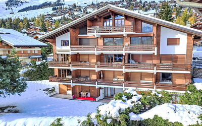 Verbier 231