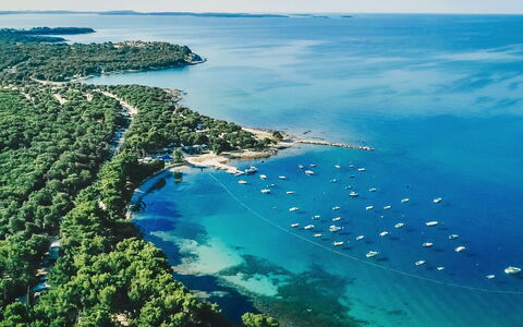 Rovinj Bale 312: Water, Water Resources, Sky, Azure, Natural Landscape, Coastal And Oceanic Landforms, Beach, Tree, Landscape, Horizon