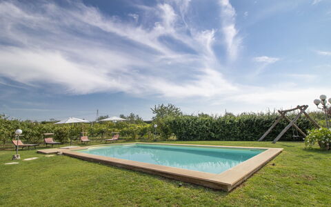 La Quercia: Cloud, Water, Sky, Plant, Property, Swimming Pool, Azure, Body Of Water, Land Lot, Rectangle