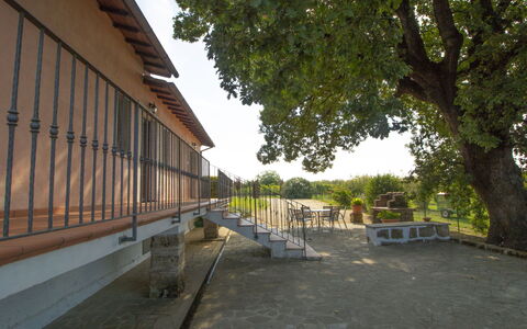 La Quercia: Building, Plant, Window, Road Surface, Sky, Tree, Shade, Urban Design, Real Estate, Wood