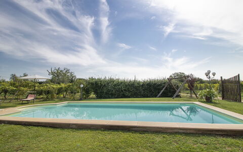 La Quercia: Water, Cloud, Sky, Property, Plant, Swimming Pool, Tree, Rectangle, Shade, Grass