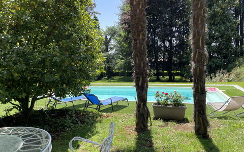 Sofia: Plant, Water, Natural Landscape, Tree, Shade, Land Lot, Grass, Sky, Outdoor Furniture, Swimming Pool